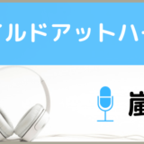 嵐のワイルドアットハート